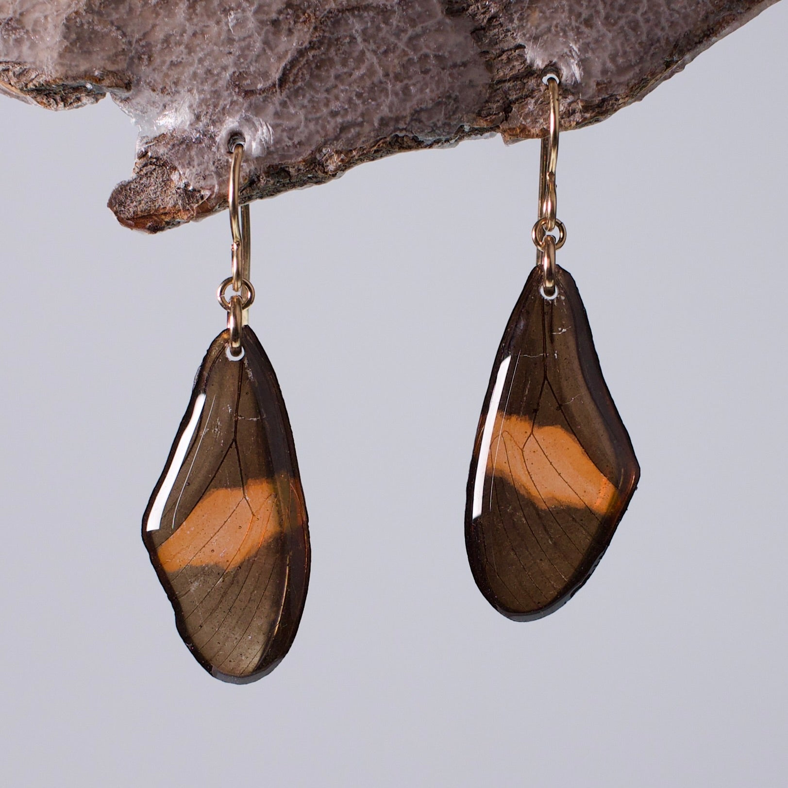 real butterfly wing earrings red black butterflies gold French hook earring on wood stand