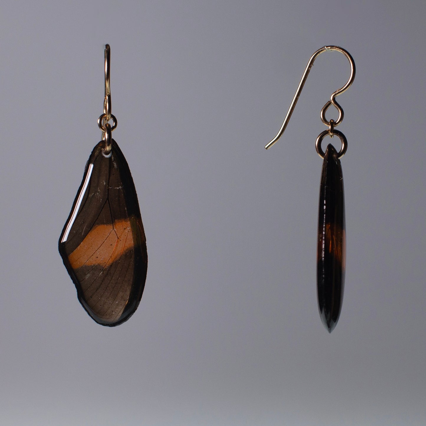 real butterfly wing earrings red black butterflies gold earring on grey background