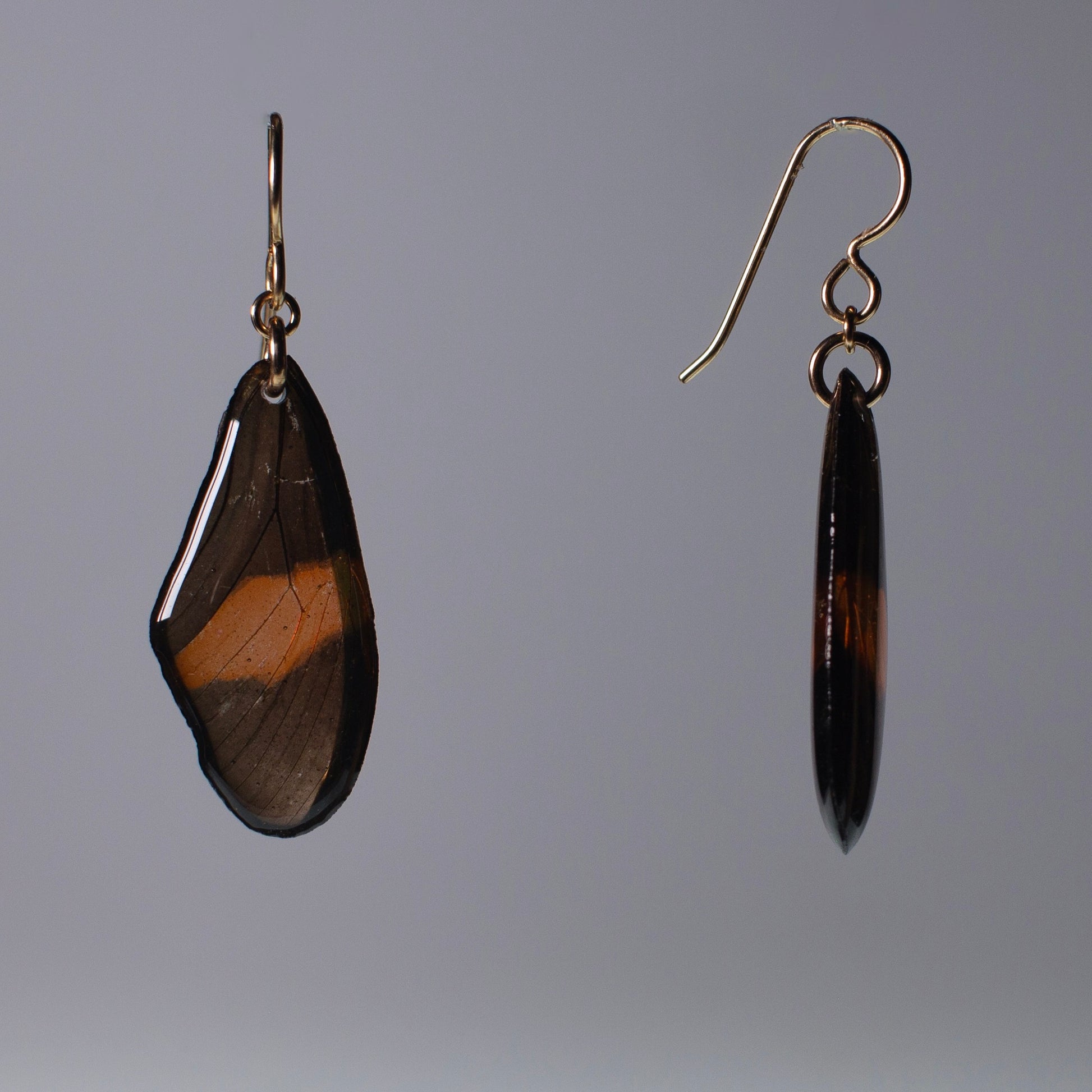 real butterfly wing earrings red black butterflies gold earring on grey background