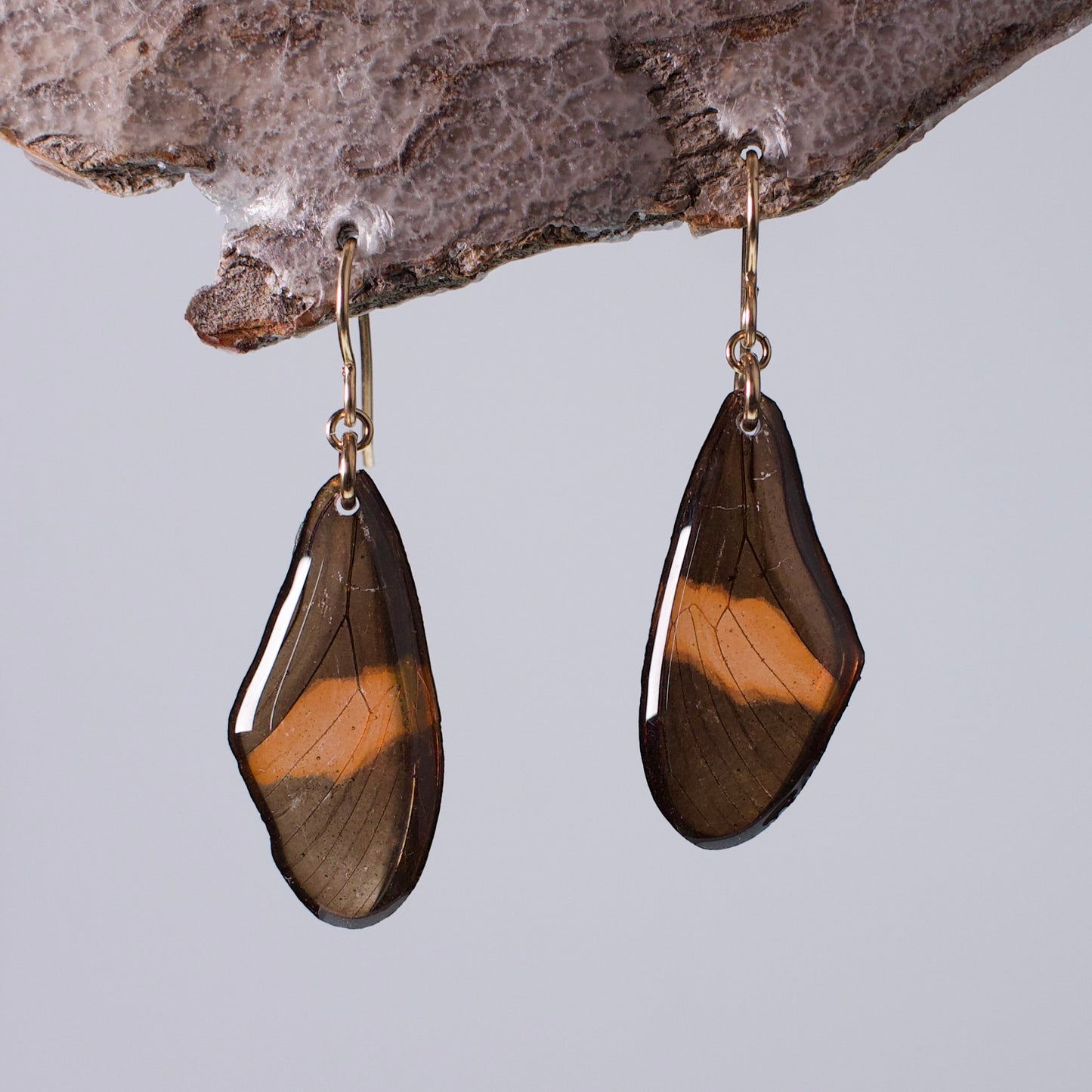 real butterfly wing earrings red black butterflies gold wire hook earring on wood stand