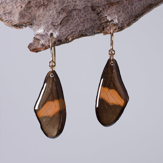 real butterfly wing earrings red black butterflies gold wire hook earring on wood stand