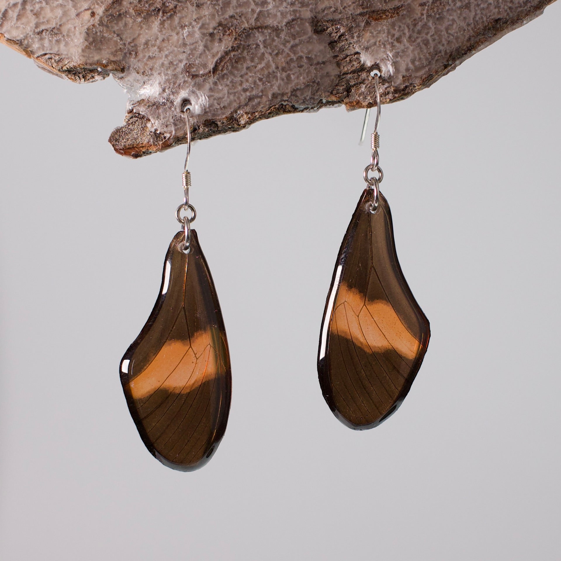 real butterfly wing earrings red black butterflies silver French hook earring on wood stand