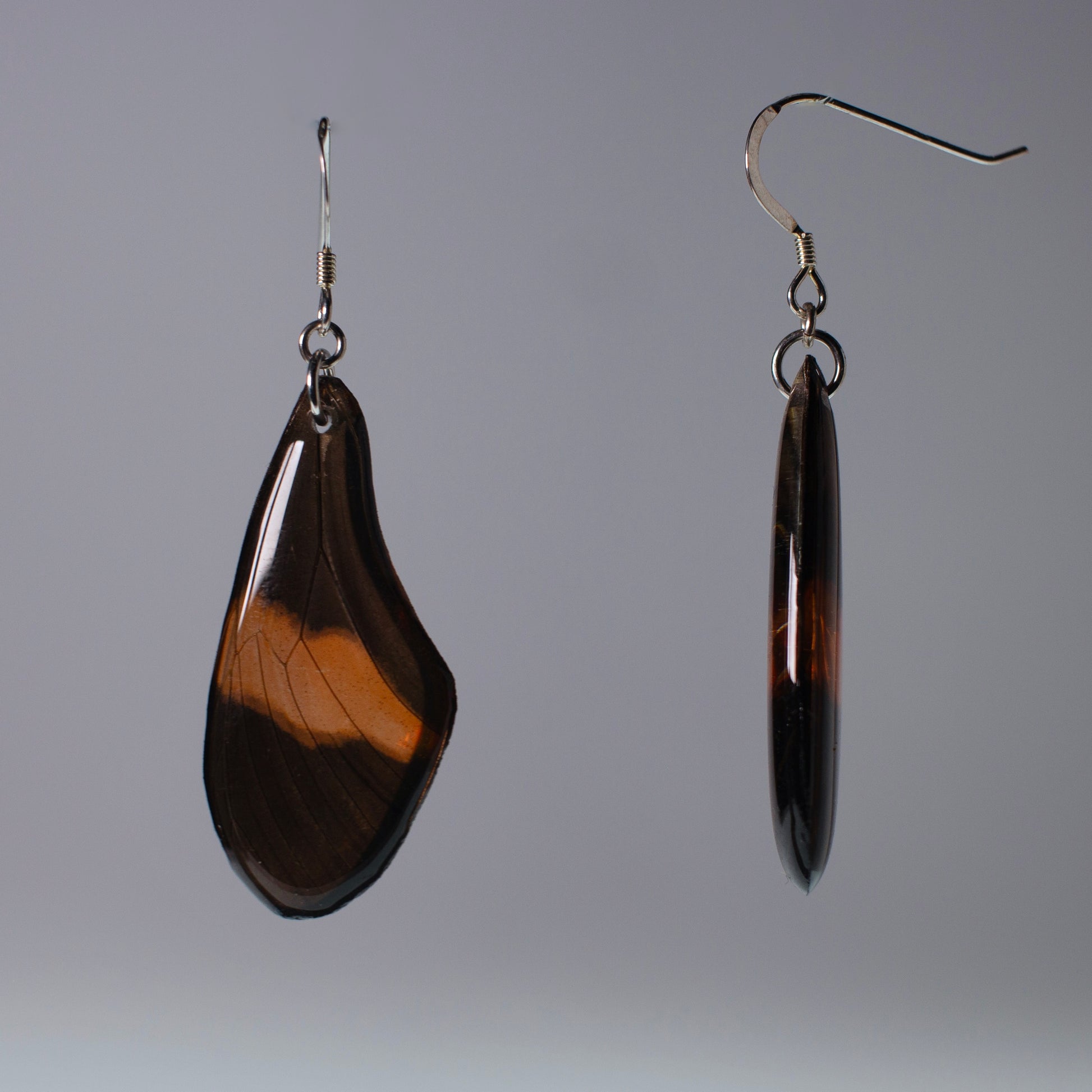 real butterfly wing earrings red black butterflies silver French hook earring side view