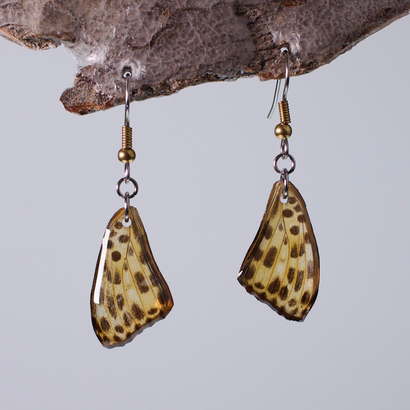 real butterfly wing earrings spotted leopard butterflies hypoallergenic surgical steel gold on wood stand