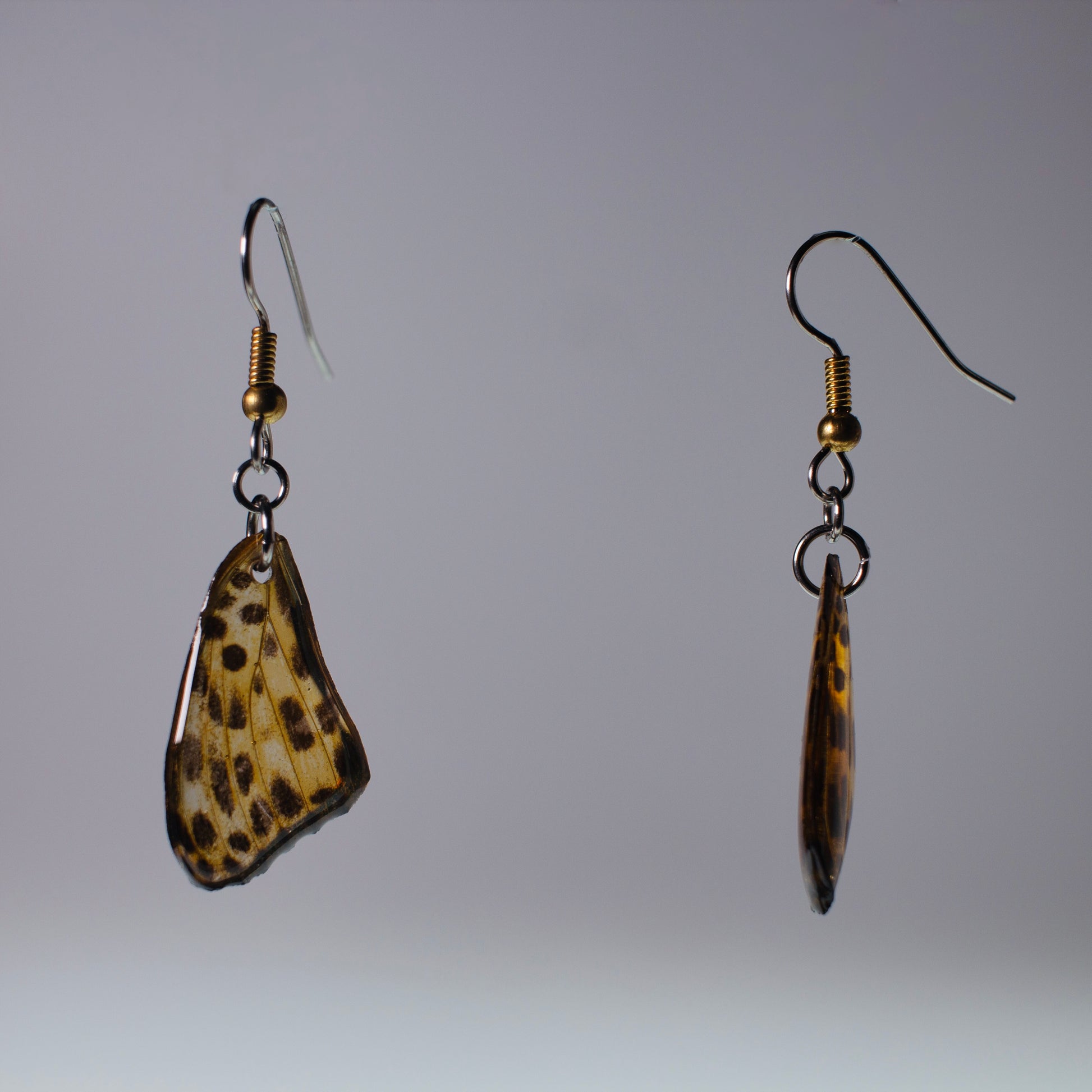 real butterfly wing earrings timealea maculata butterflies hypoallergenic surgical steel gold side view