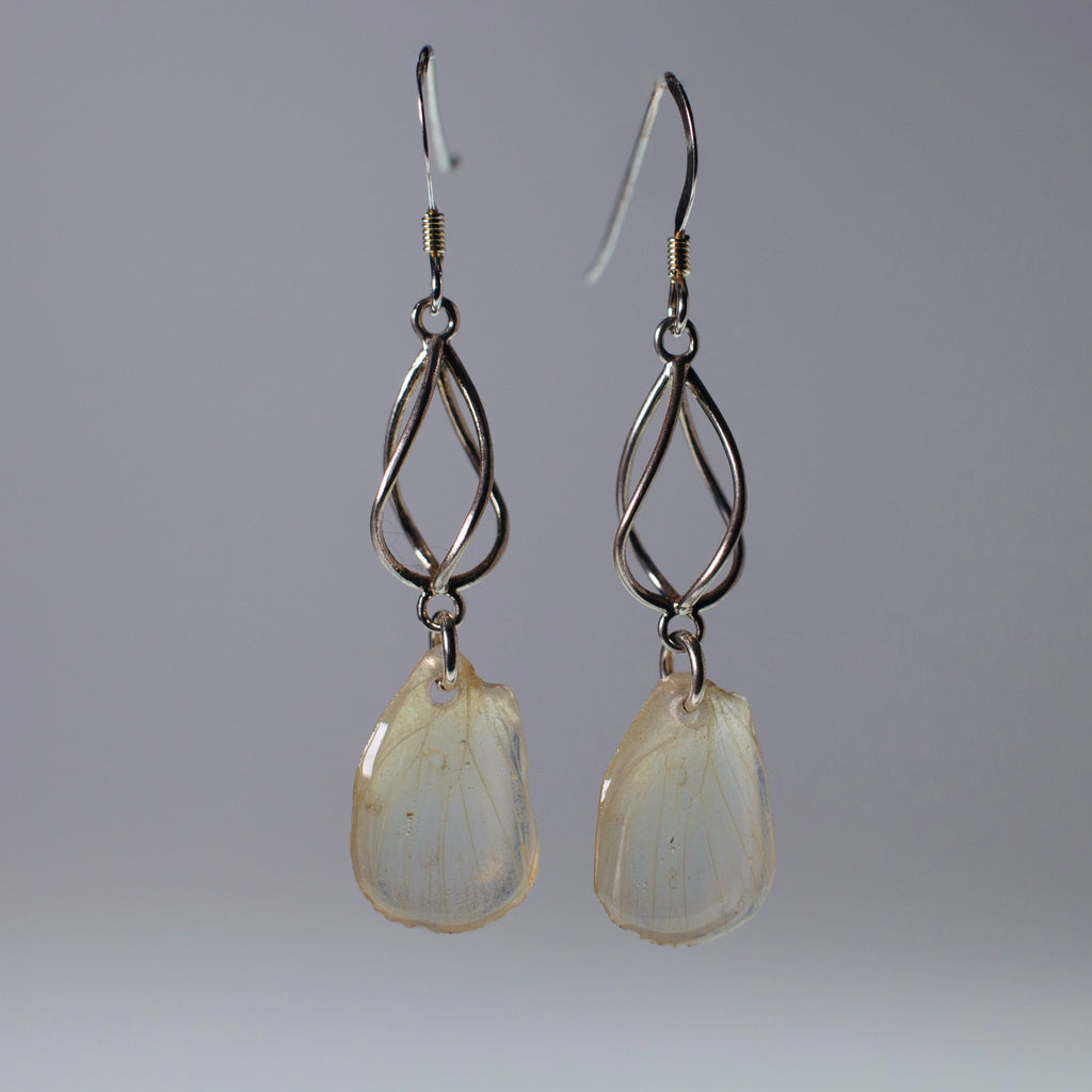 real butterfly wing earrings white butterflies sterling silver geometric swirl earring 