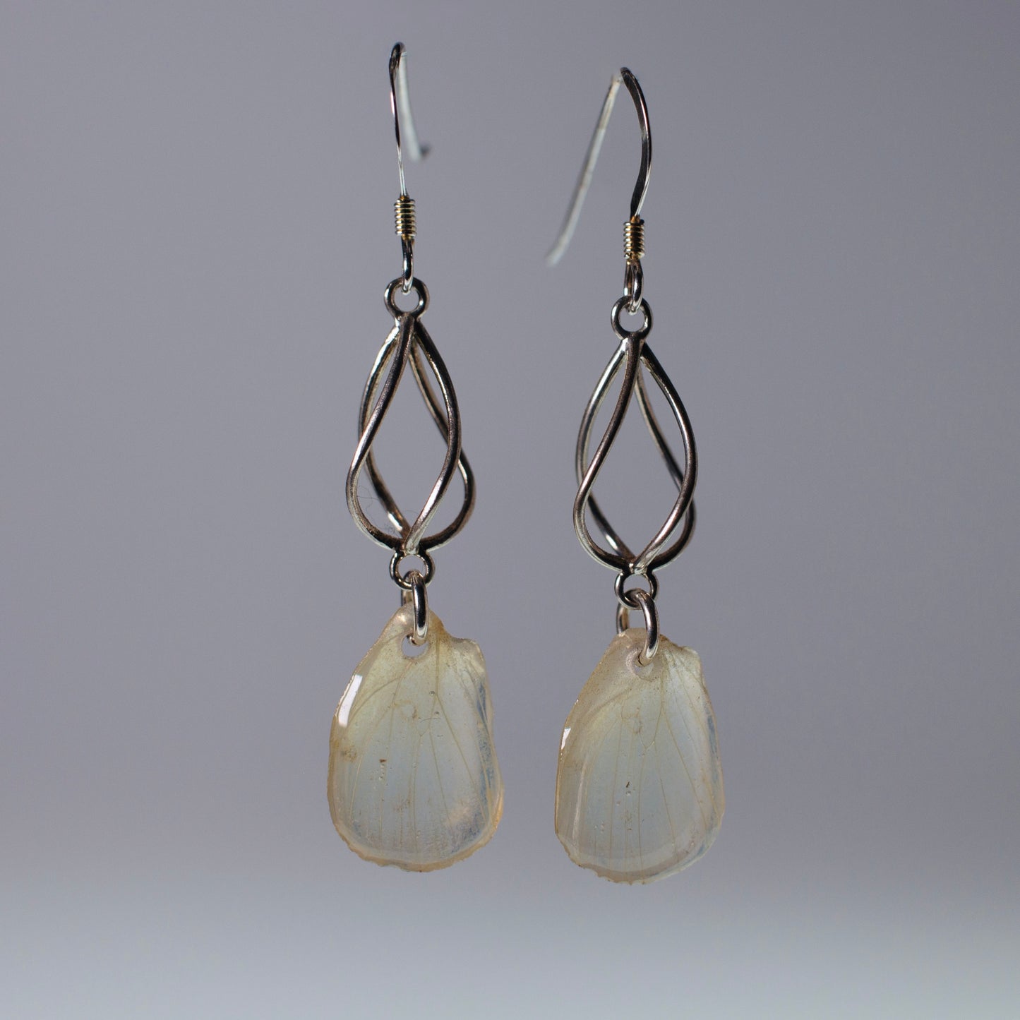 real butterfly wing earrings white butterflies sterling silver geometric swirl earring 