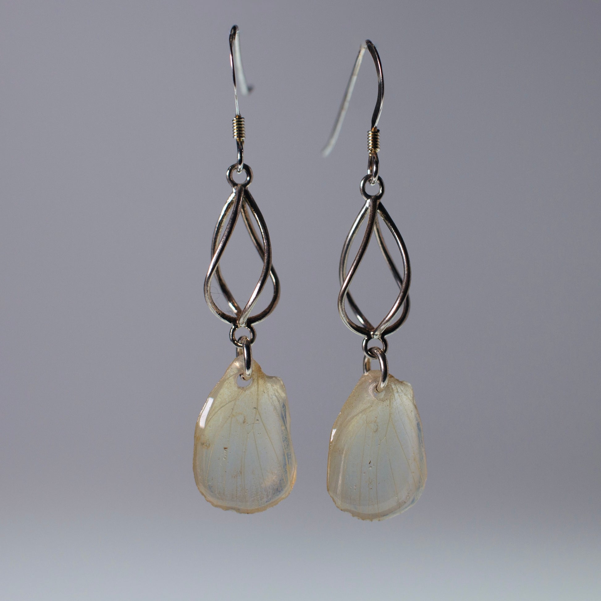 real butterfly wing earrings white butterflies sterling silver geometric swirl earring 