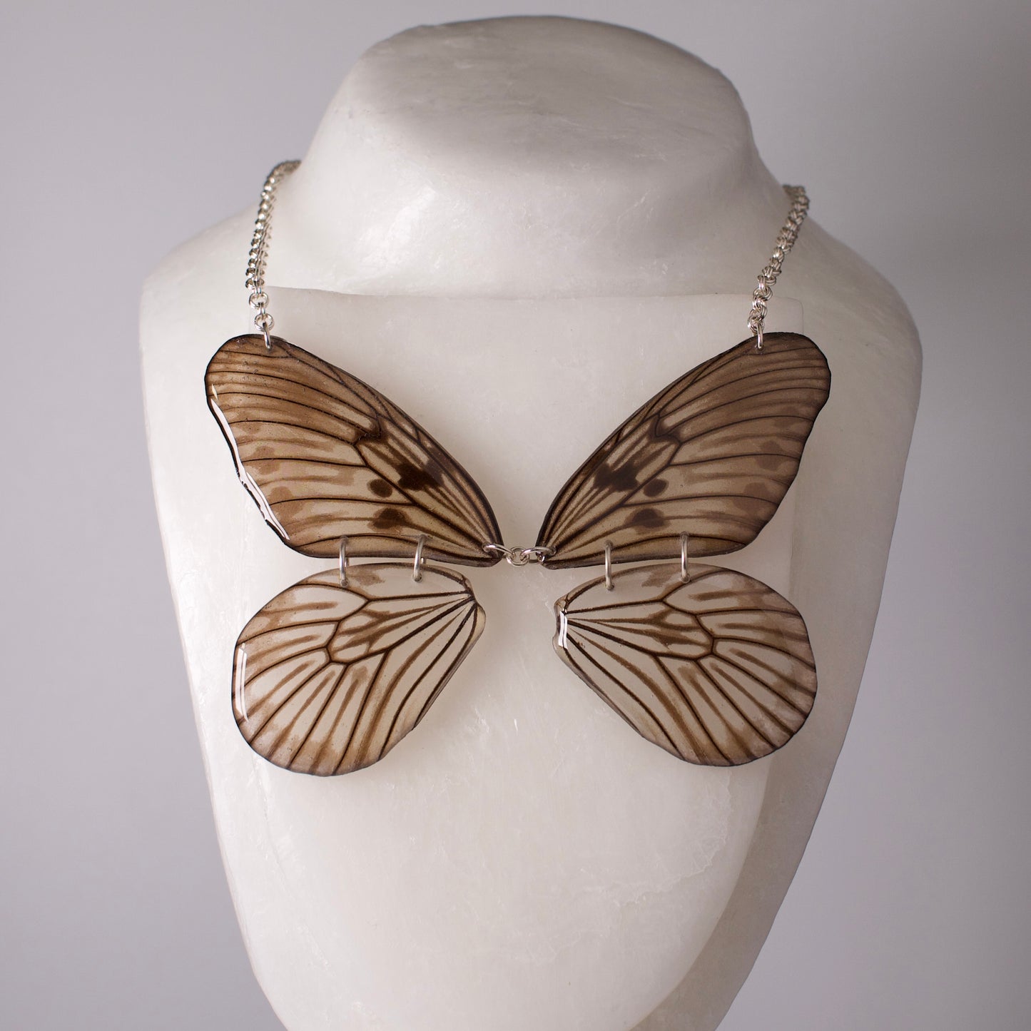 real butterfly wing necklace  Blanchardii"s Ghost Butterflies Idea blanchardii silver double rolo chain on form