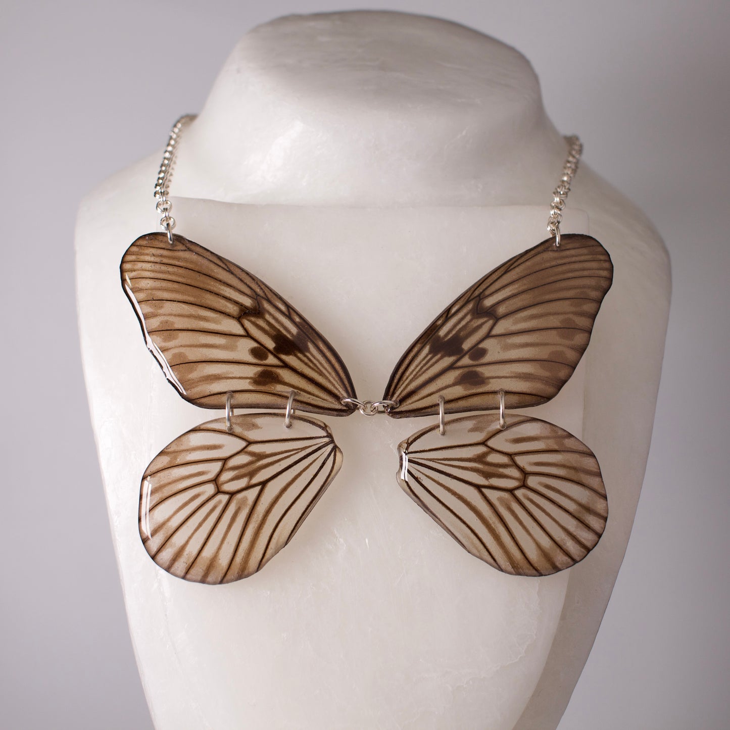 real butterfly wing necklace  Blanchardii"s Ghost Butterflies Idea blanchardii silver rolo chain on mannequin