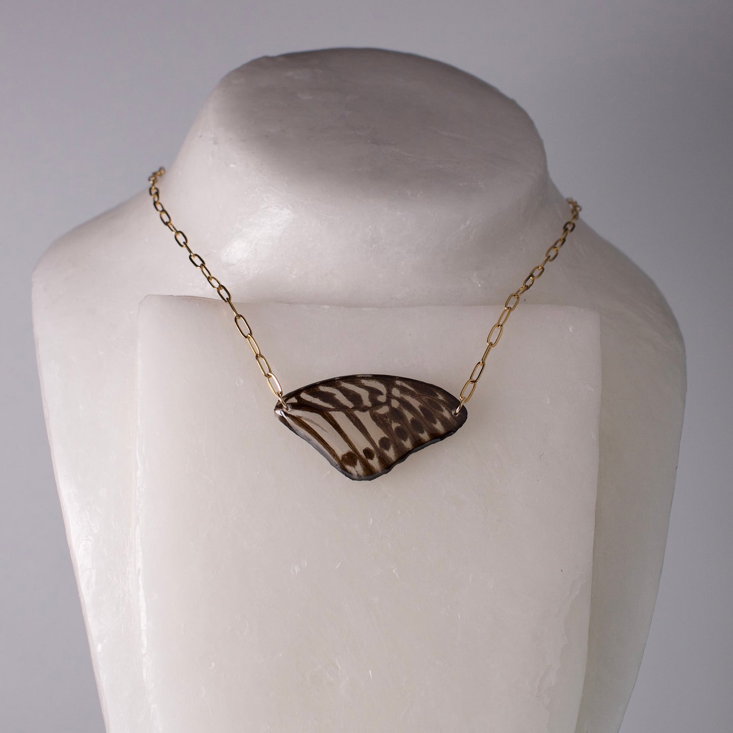 real butterfly wing necklace Malayan Zebra butterflies gold paperclip chain on neck form