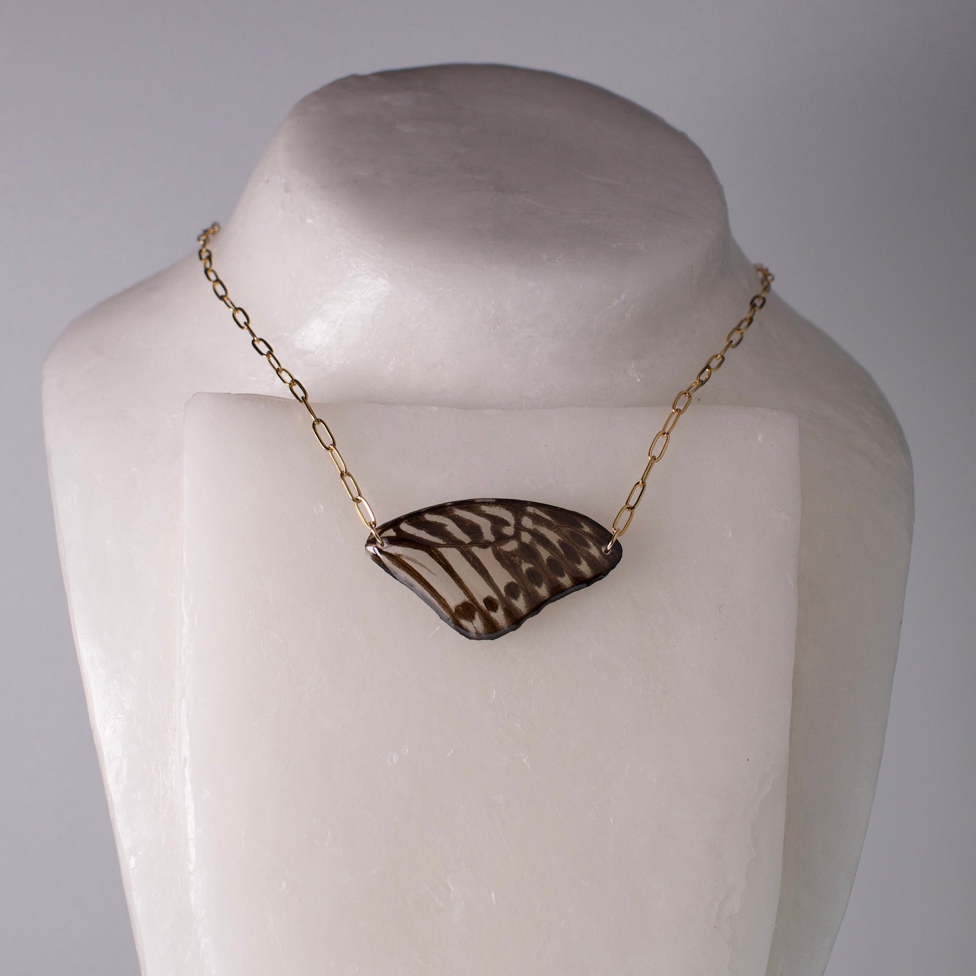 real butterfly wing necklace Malayan Zebra butterflies gold paperclip chain on neck form