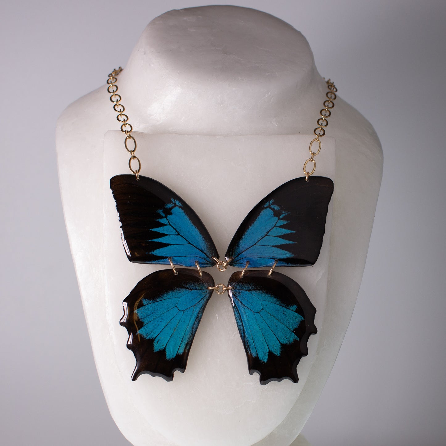 real butterfly wing necklace Papilio ulysses blue butterflies gold chain on neck form