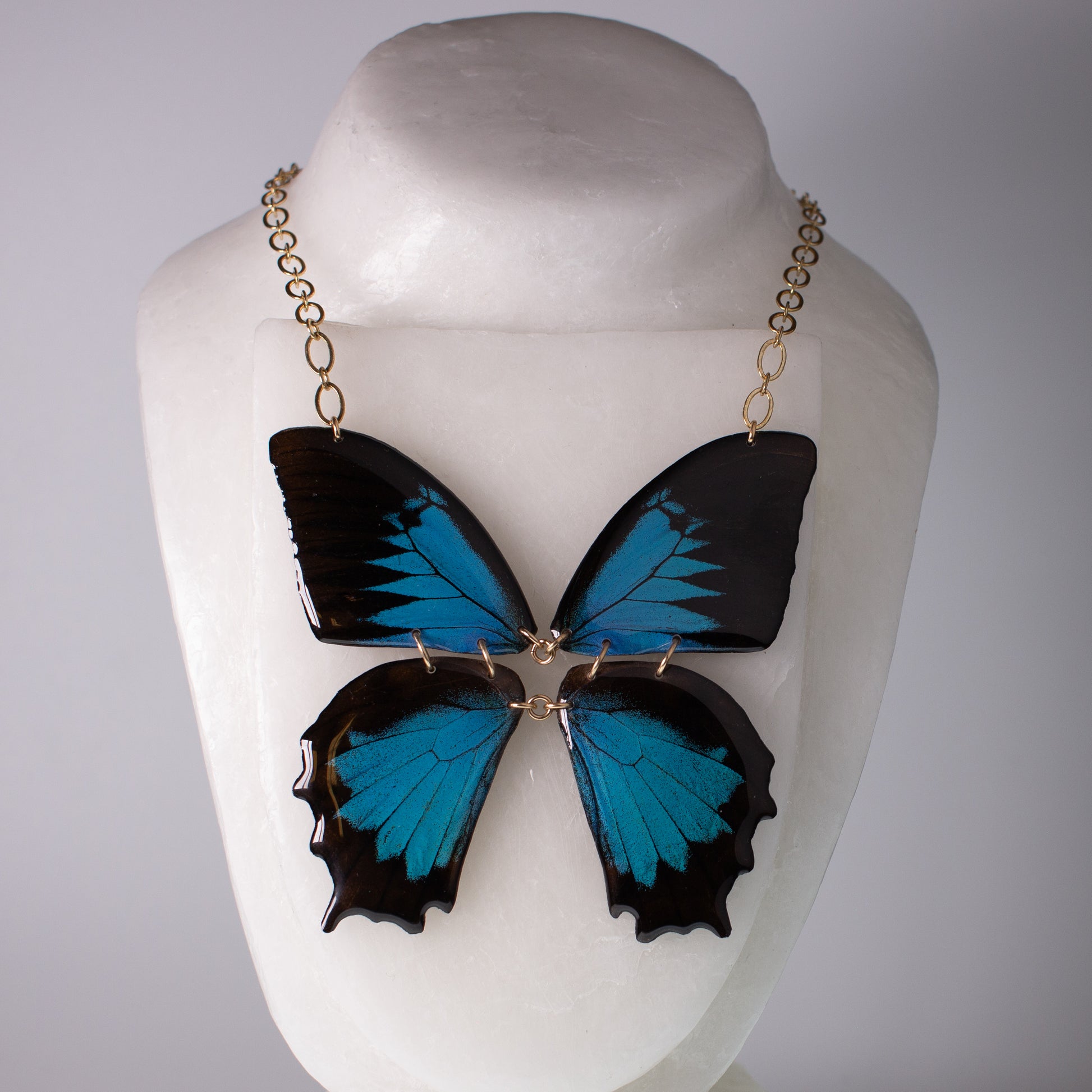 real butterfly wing necklace Papilio ulysses blue butterflies gold chain on neck form
