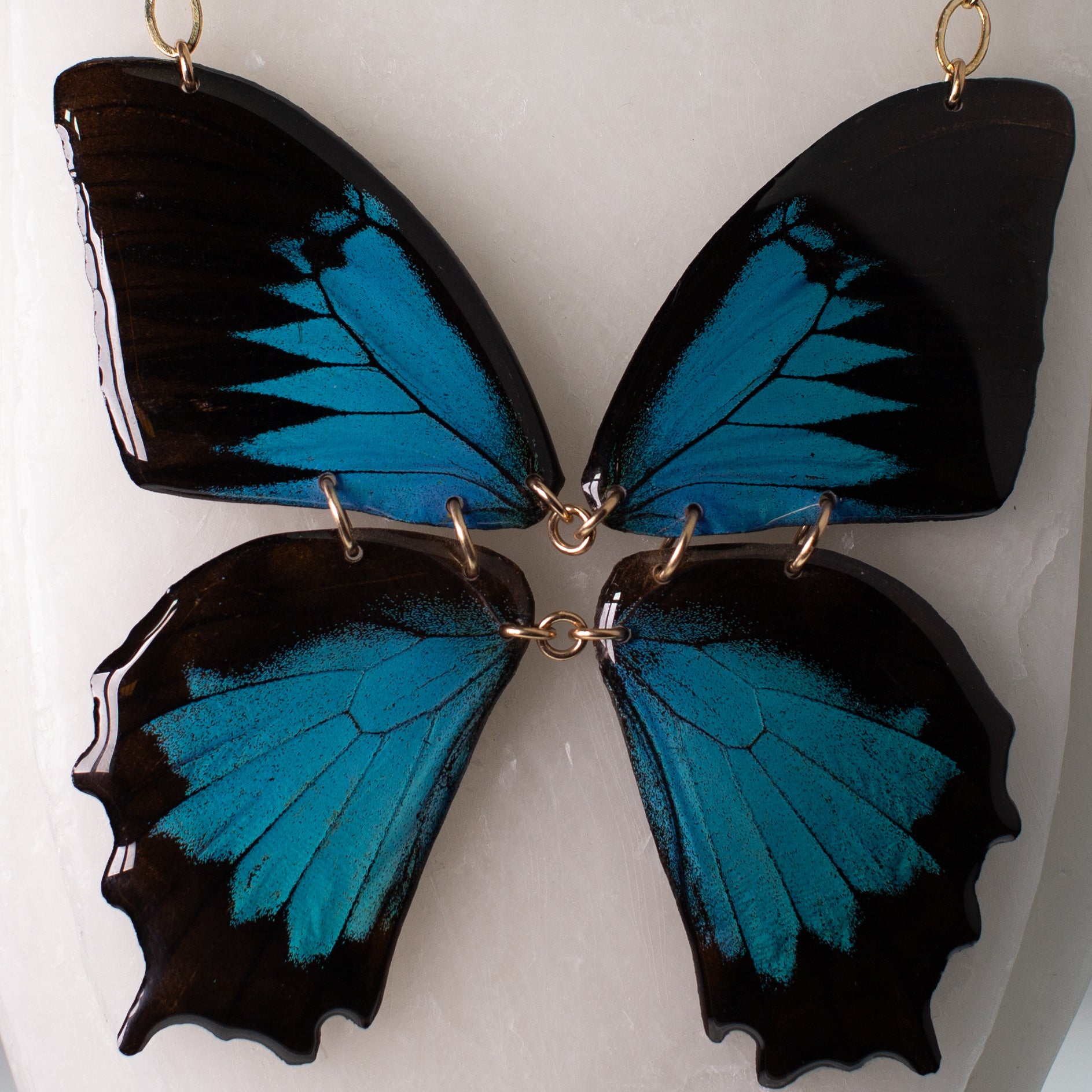 real butterfly wing necklace Papilio ulysses blue butterflies gold chain close up on sculpted wax