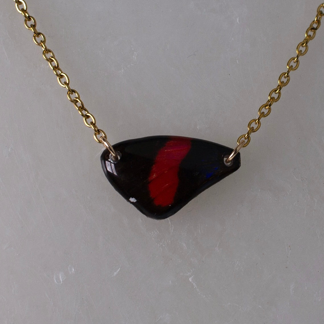 real butterfly wing necklace Zelphanta Number-wing butterflies gold chain on wax background
