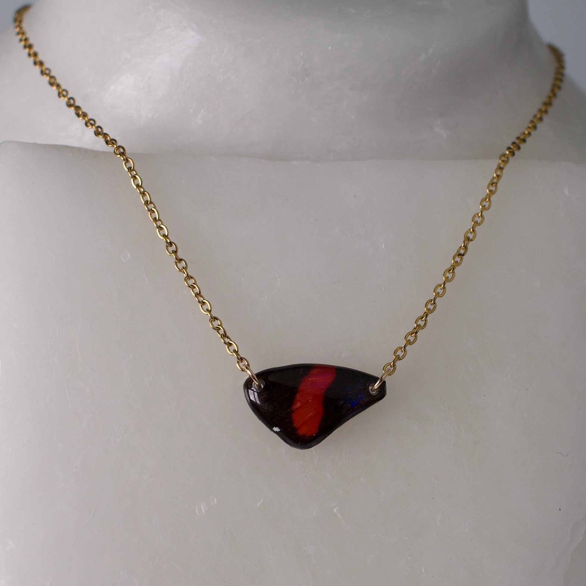 real butterfly wing necklace Zelphanta Number-wing butterflies gold cable chain on mannequin