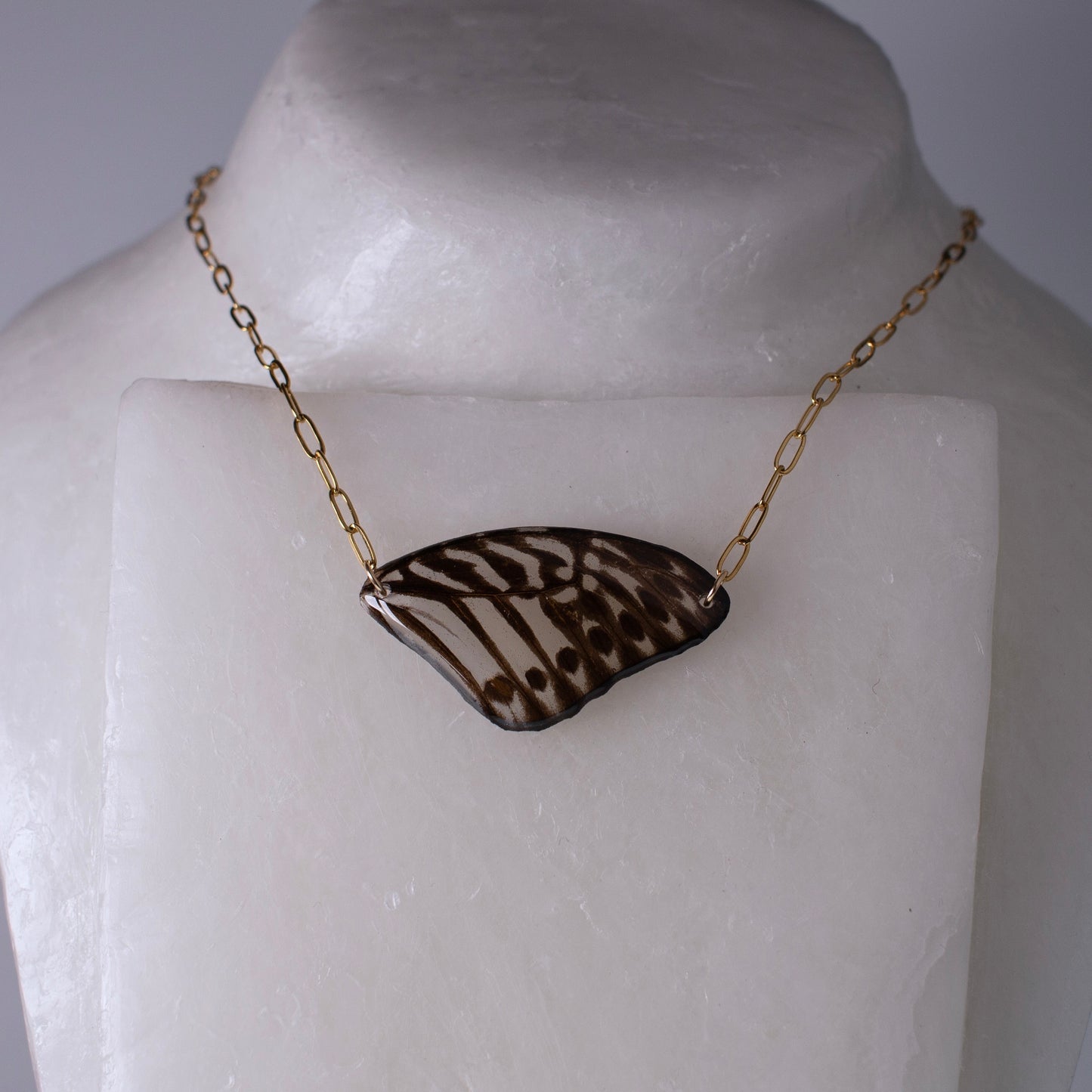 real butterfly wing necklace black and white butterflies gold paperclip chain on wax form