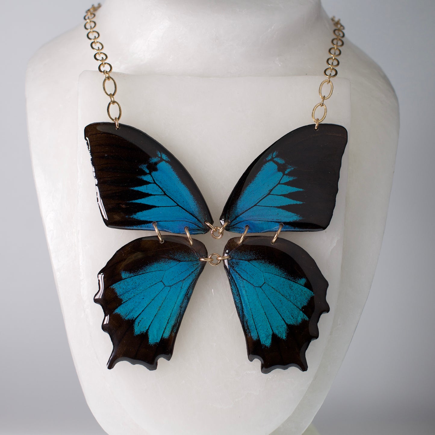 real butterfly wing necklace blue mountain butterflies gold chain on wax form