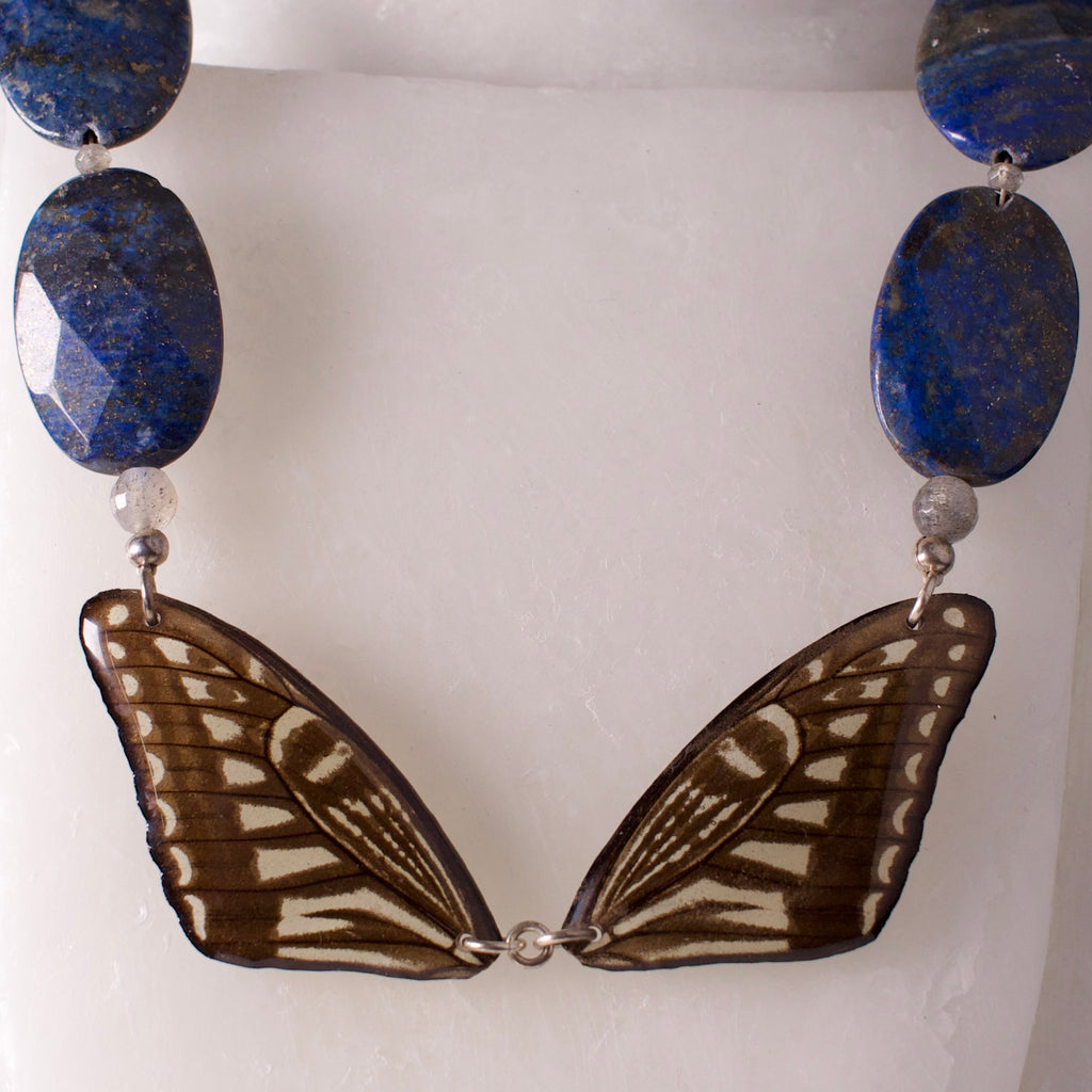 real butterfly wing necklace blue yellow butterflies lapis labradorite silver xuthus swallowtail tight shot