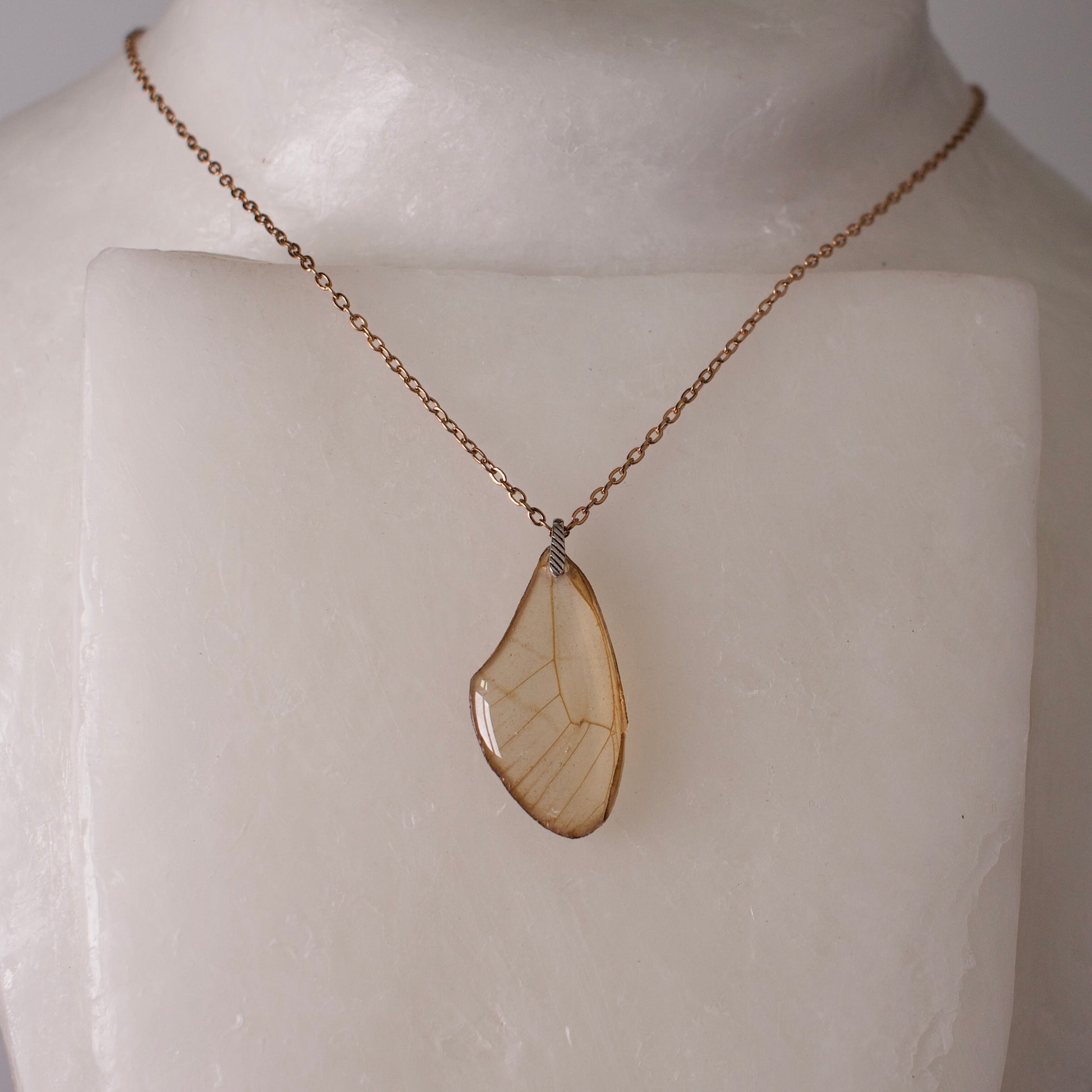 real butterfly wing necklace blushing phantom butterflies rose gold chain sterling silver on mannequin