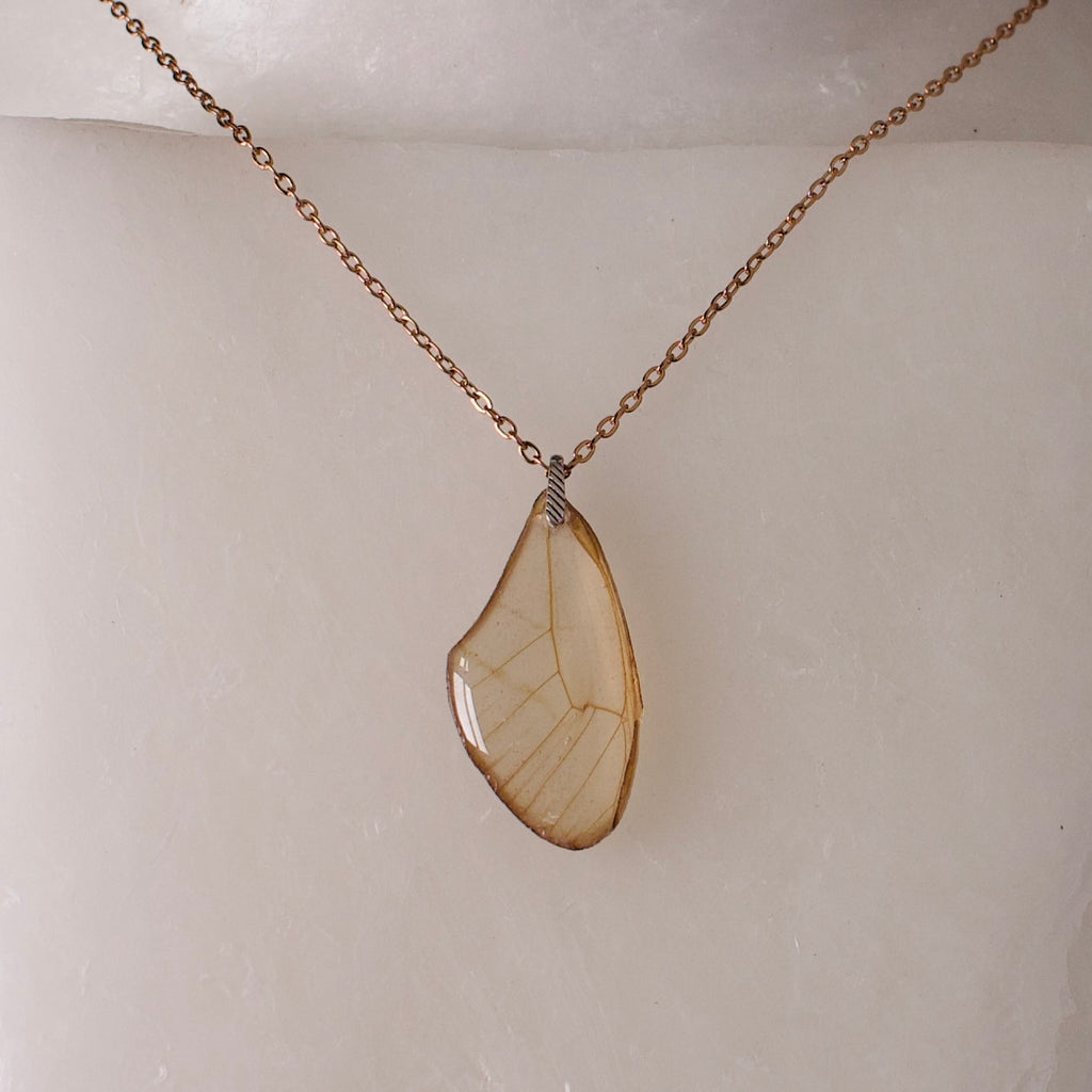 real butterfly wing necklace blushing phantom butterflies rose gold chain sterling silver striped bail on wax