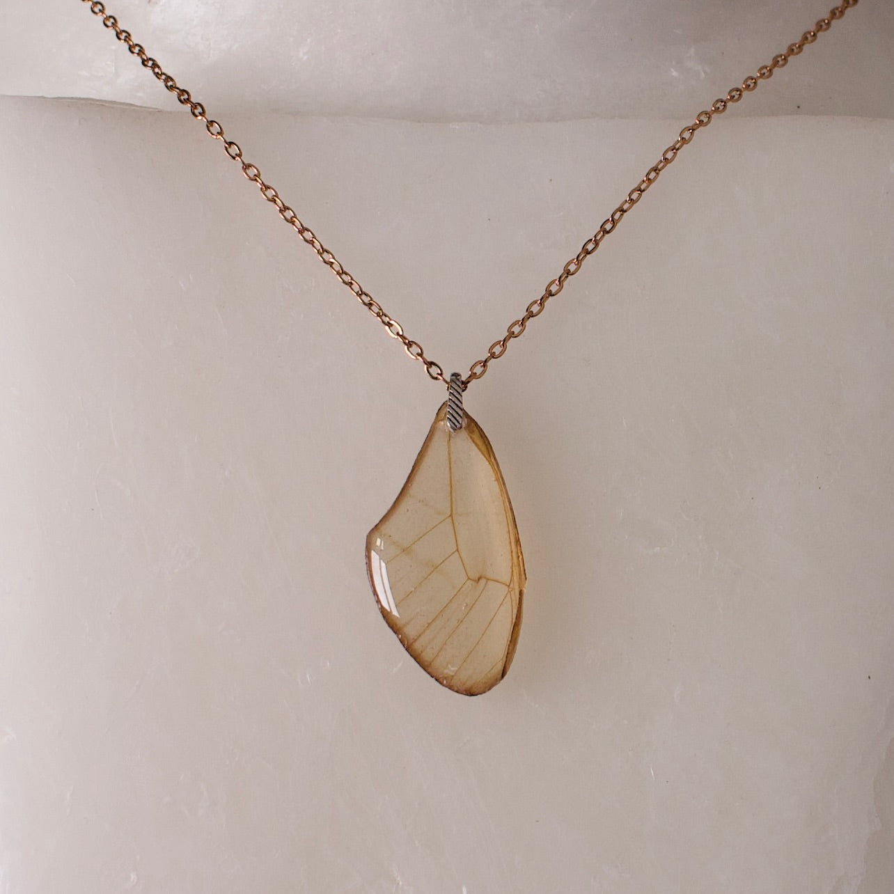 real butterfly wing necklace blushing phantom butterflies rose gold chain sterling silver striped bail on wax