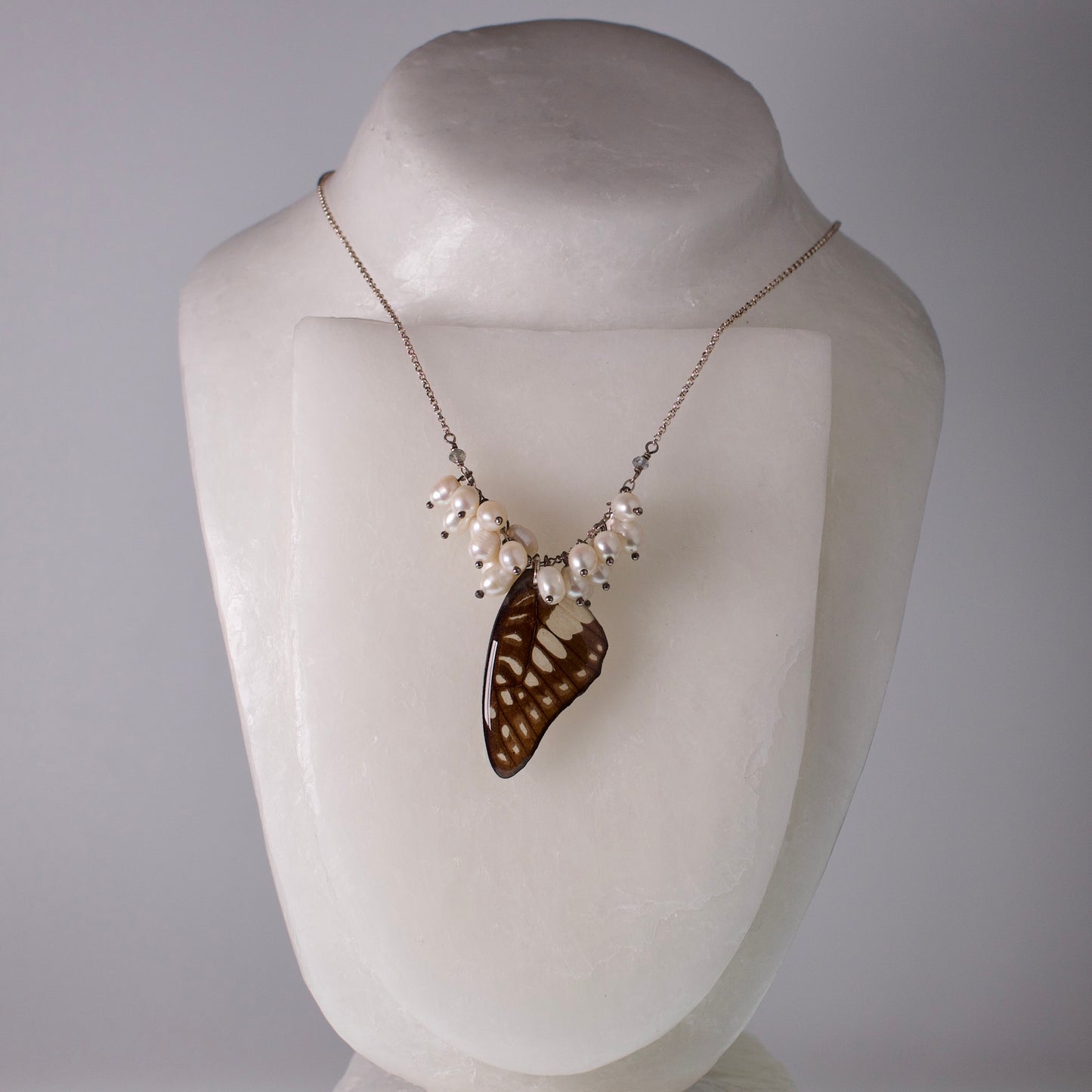 real butterfly wing necklace common jay butterflies pearl zircon sterling silver on mannequin
