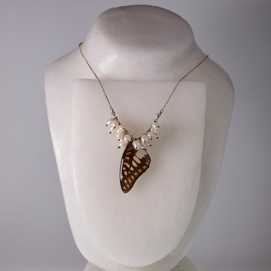 real butterfly wing necklace common jay butterflies pearl zircon sterling silver on mannequin