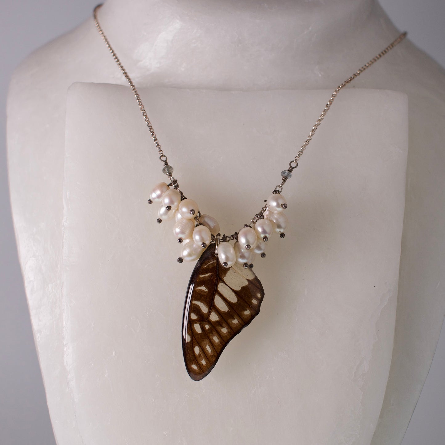 real butterfly wing necklace common jay butterflies pearl zircon sterling silver rolo chain on mannequin