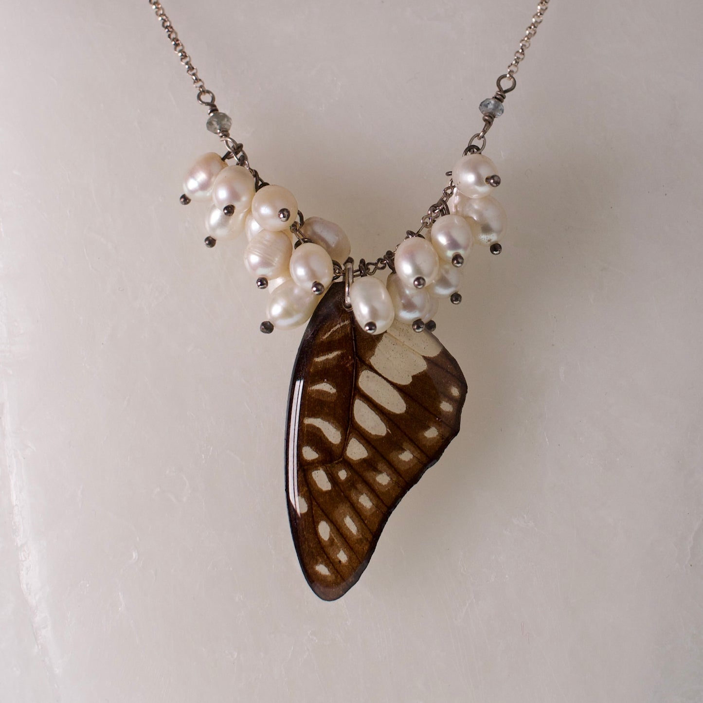 real butterfly wing necklace common jay butterflies pearl zircon sterling silver rolo chain close up
