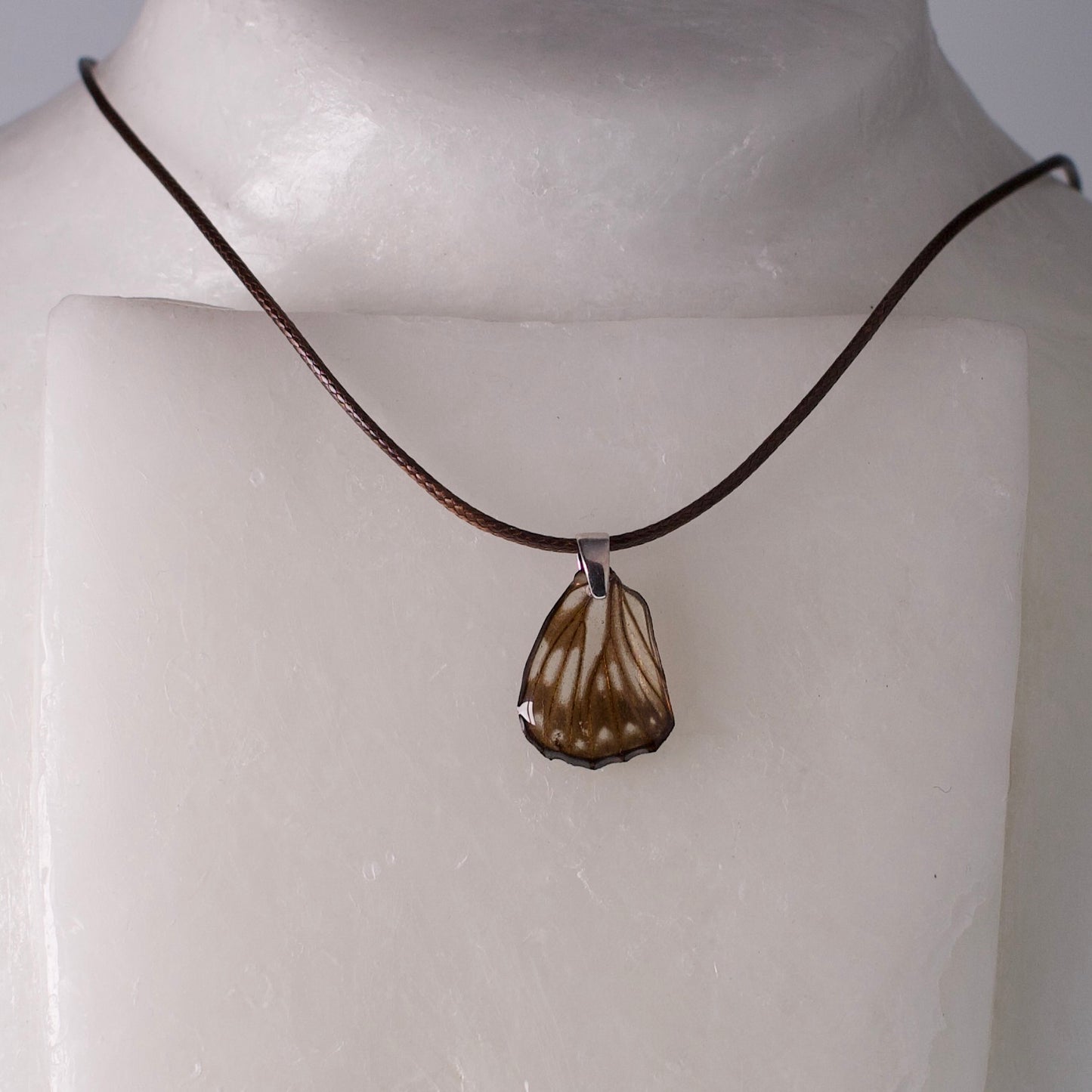 real butterfly wing necklace common sailor butterflies brown cord steel pendant on wax form