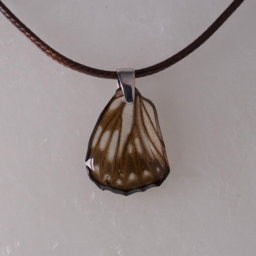 real butterfly wing necklace common sailor butterflies brown cord steel pendant close up on wax