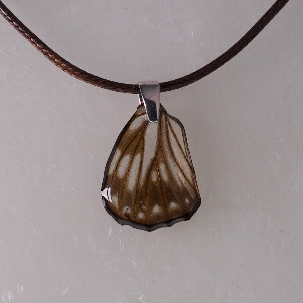 real butterfly wing necklace common sailor butterflies brown cord steel pendant close up on wax
