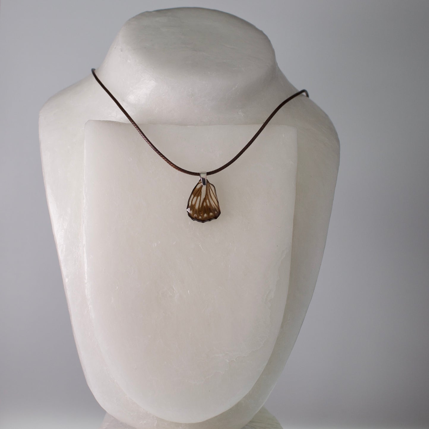 real butterfly wing necklace common sailor butterflies brown waxed cord necklace steel pendant on neck form