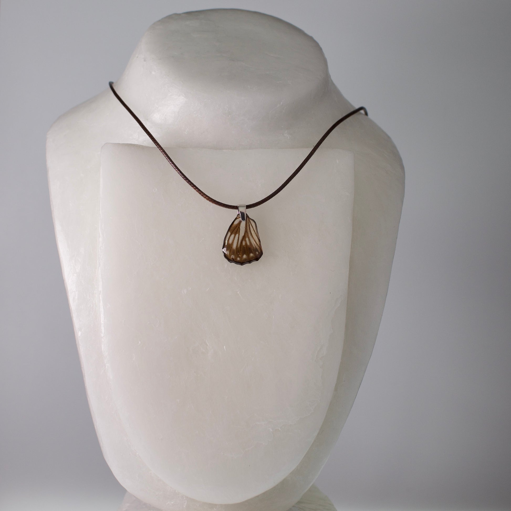 real butterfly wing necklace common sailor butterflies brown waxed cord necklace steel pendant on neck form