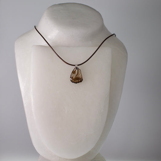 real butterfly wing necklace common sailor butterflies brown waxed cord necklace steel pendant on neck form