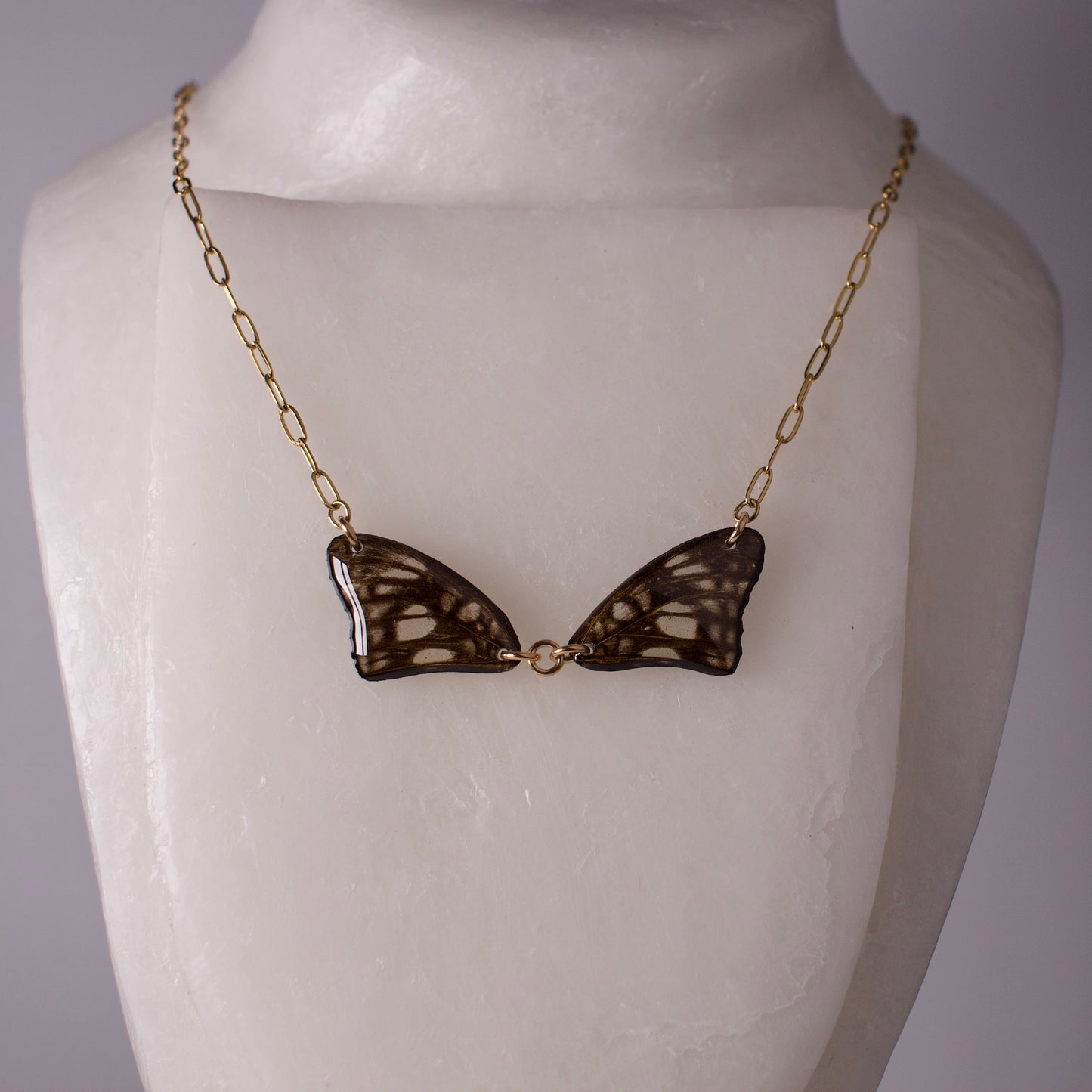 real butterfly wing necklace common sailor butterflies gold necklace paperclip chain on wax form