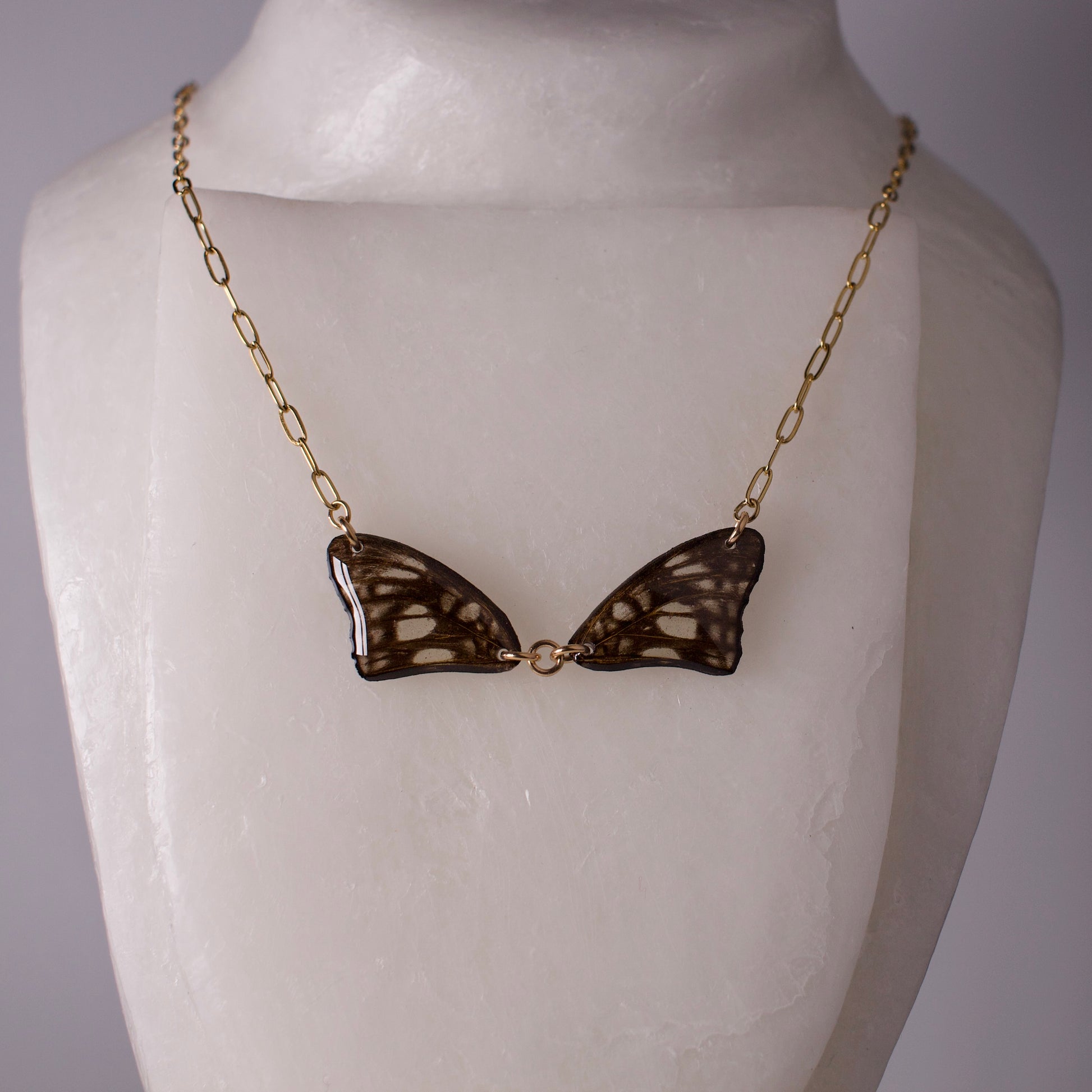 real butterfly wing necklace common sailor butterflies gold necklace paperclip chain on wax form
