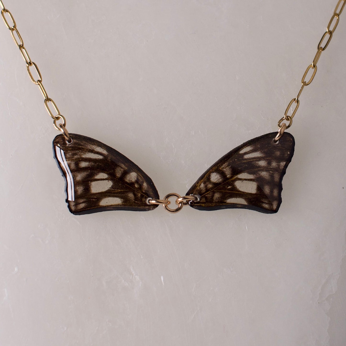 real butterfly wing necklace common sailor butterflies gold paperclip chain necklace close up on wax