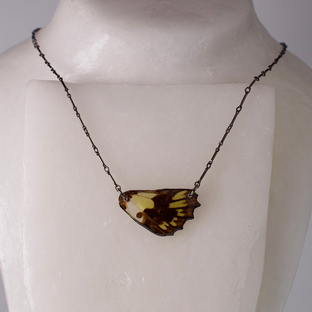 real butterfly wing necklace electric green butterflies black steel necklace on form