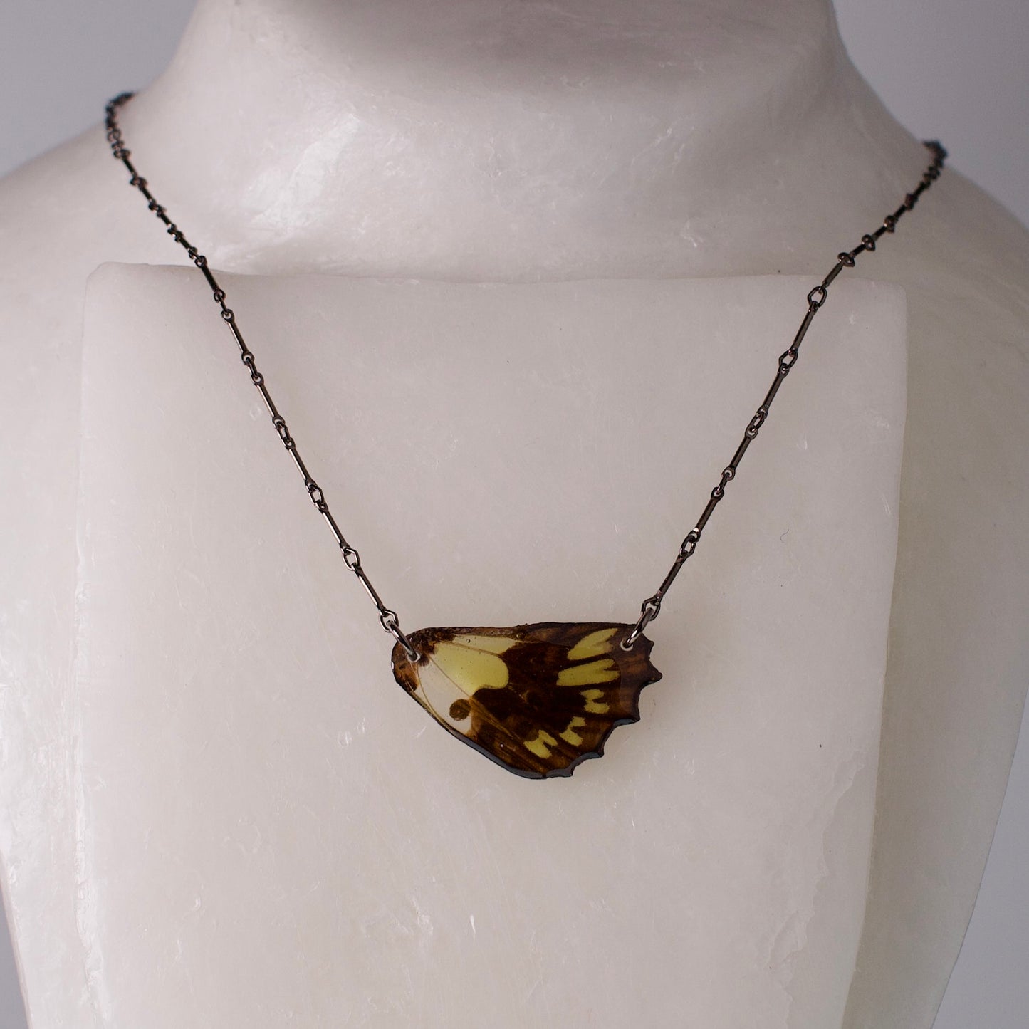 real butterfly wing necklace electric green butterflies black steel necklace on form