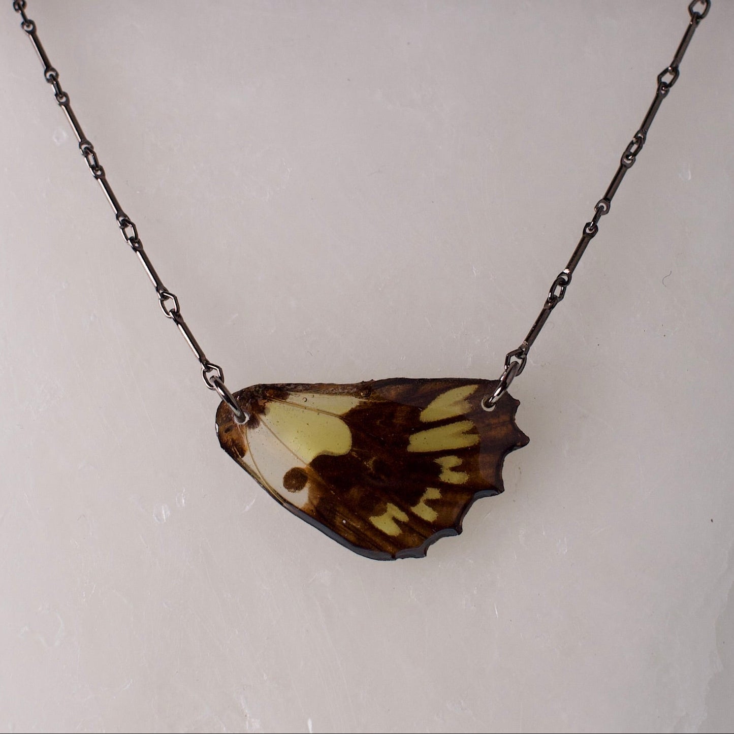 real butterfly wing necklace electric green swallowtail black steel necklace on wax