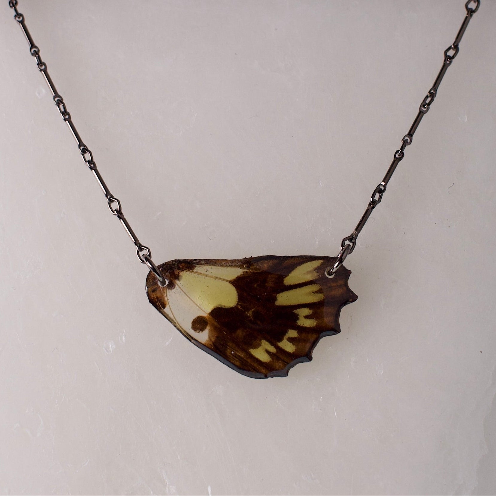 real butterfly wing necklace electric green swallowtail black steel necklace on wax