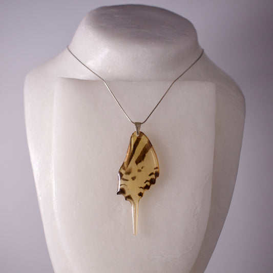 real butterfly wing necklace giant swallowtail butterflies Papilio Androcles silver necklace on form