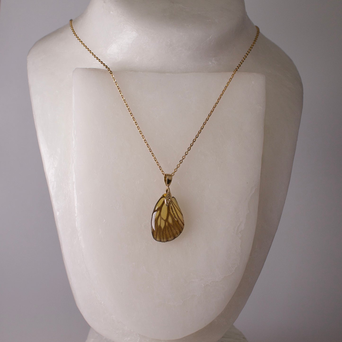 real butterfly wing necklace gold chain necklace leaf detail green veined butterflies on mannequin