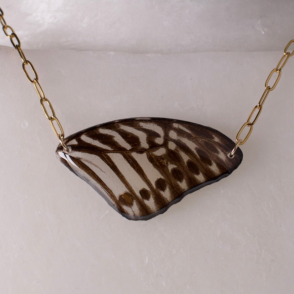 real butterfly wing necklace gold paperclip chain on wax