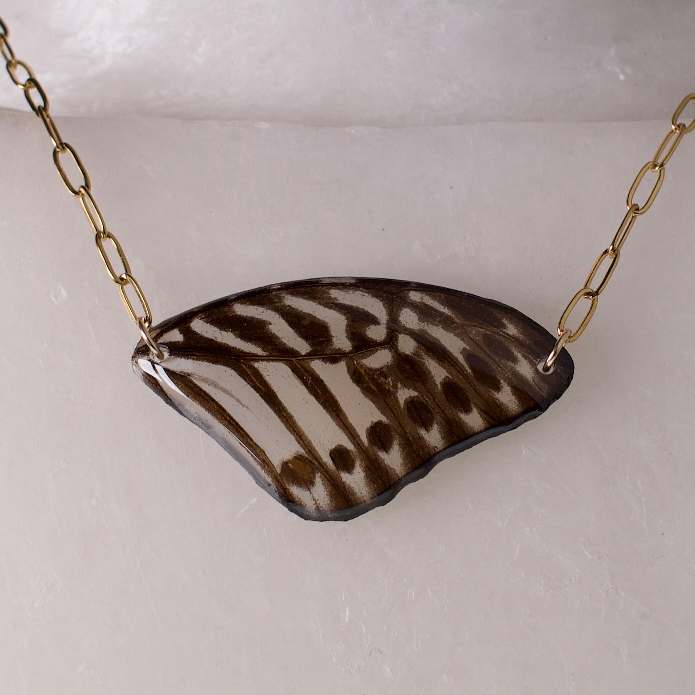 real butterfly wing necklace gold paperclip chain on wax