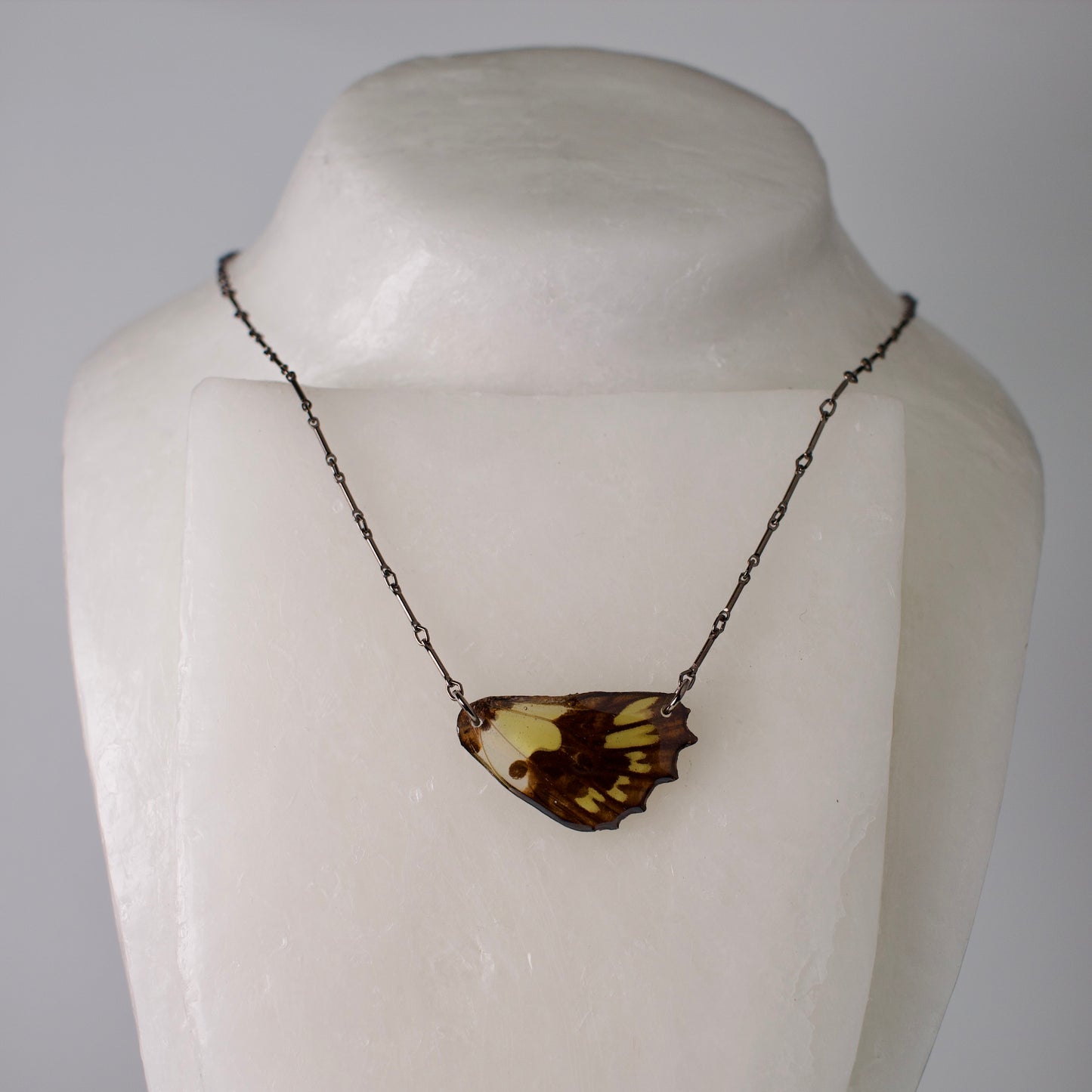 real butterfly wing necklace green butterflies black steel chain on wax form
