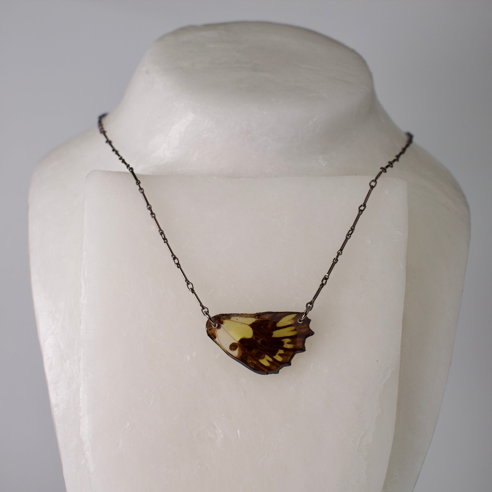 real butterfly wing necklace green butterflies black steel chain on wax form